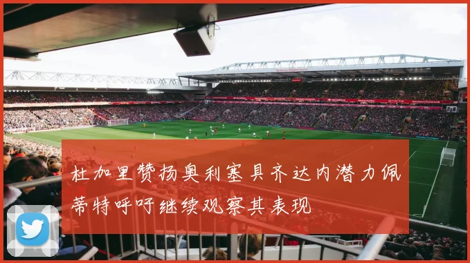 杜加里赞扬奥利塞具齐达内潜力佩蒂特呼吁继续观察其表现